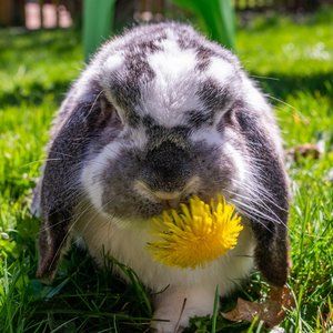 COPY - mystery box kids clothes 6